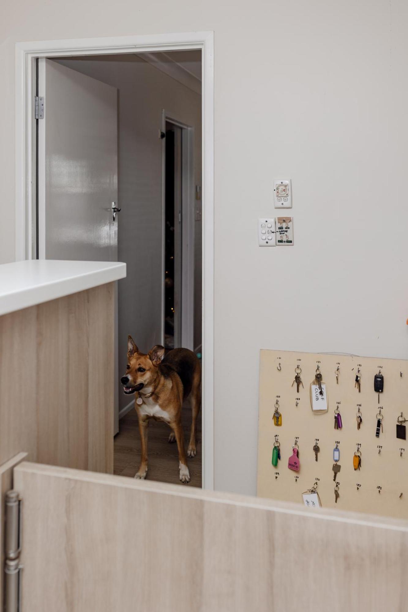 Starline Motor Inn Miles Экстерьер фото